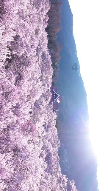 海军蓝